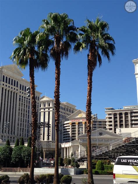 Descubra os Segredos do Caesars Palace Hotel & Casino em Las Vegas