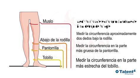 Descubre el Entrepierna: La Guía Definitiva para Entender y Medir Correctamente