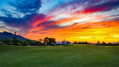 Desert Forest Golf Club: An Oasis Amidst the Aridity