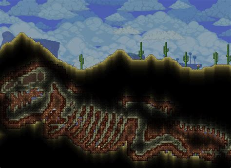 Desert Fossil Terraria: 10,020-Year-Old Ecosystems Preserved in Stone