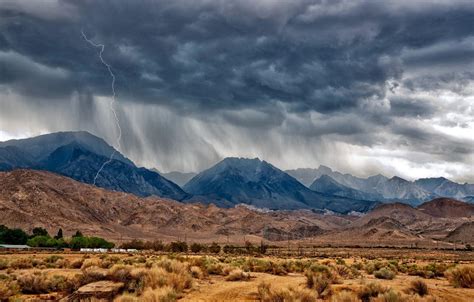 Desert Rain Kindle Editon