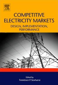 Designing Competitive Electricity Markets 1st Edition Doc