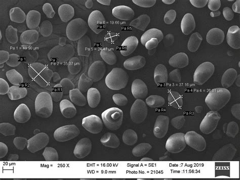 Desired granule size and shape: