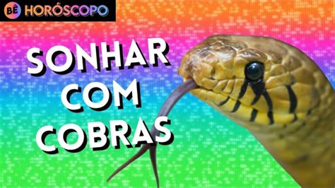 Desvendando o Significado dos Sonhos com Cobras Pretas e Laranjas