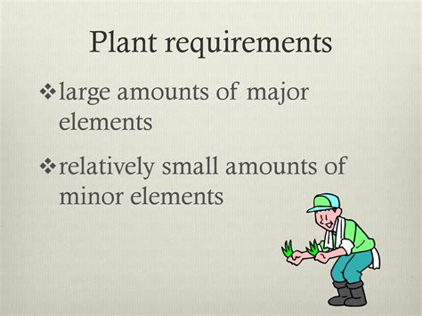 Determine Plant Requirements: