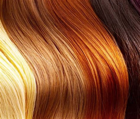 Determine Your Existing Hair Color and Condition: