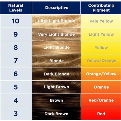 Determine your base shade: