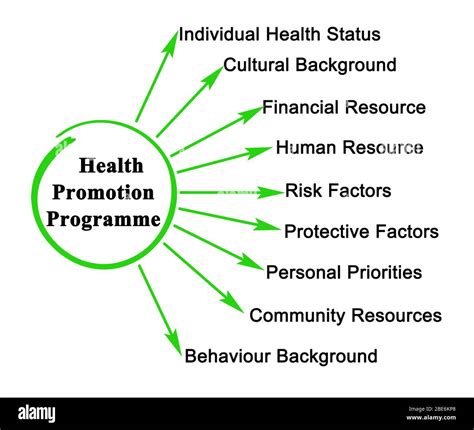 Developing Health Promotion Programs Reader