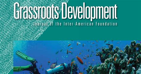 Development Planning at the Grassroots PDF