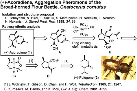 Development of synthetic pheromones: