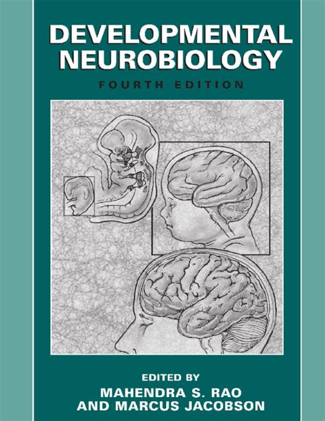 Developmental Neurobiology 4th Edition Epub