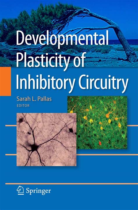 Developmental Plasticity of Inhibitory Circuitry 1st Edition PDF