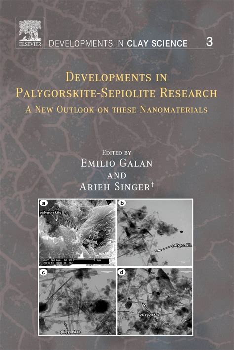 Developments in Palygorskite-Sepiolite Research, Vol. 3 A New Outlook on these Nanomaterials PDF