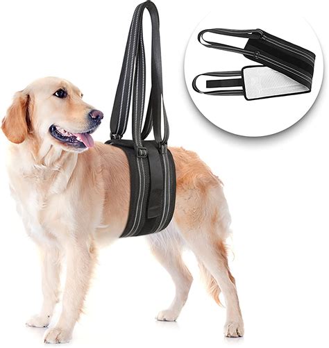 Devices to Help Dogs with Weak Back Legs: A Comprehensive Guide for Canine Support