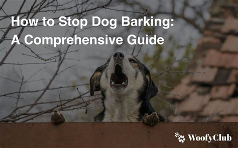 Devices to Stop Dog Barking: A Comprehensive Guide