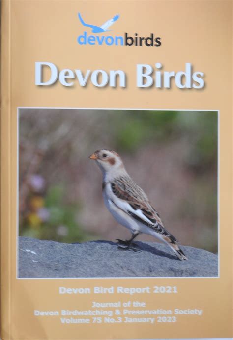 Devonshire Bird Names Doc