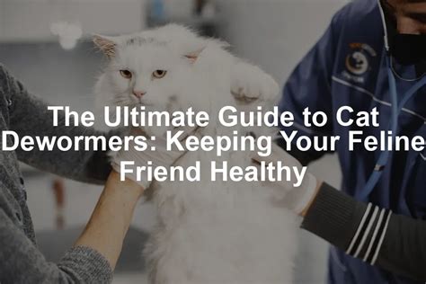 Deworming Medication for Cats: The Ultimate Guide to Keeping Your Feline Companion Healthy