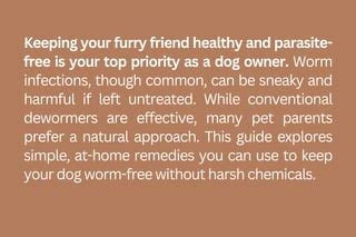 Deworming Medicine for Dogs: The Ultimate Guide to Keeping Your Furry Friend Parasite-Free