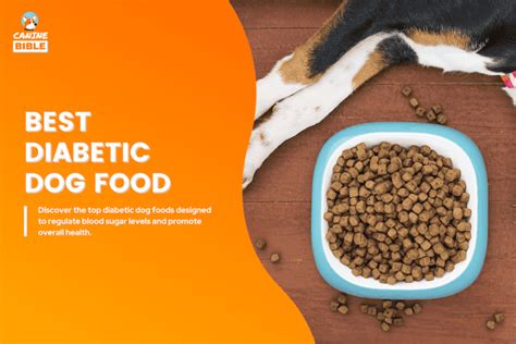 Diabetes Food for Dogs: 100% Vet-Approved Guide to Tasty & Nutritious Meals