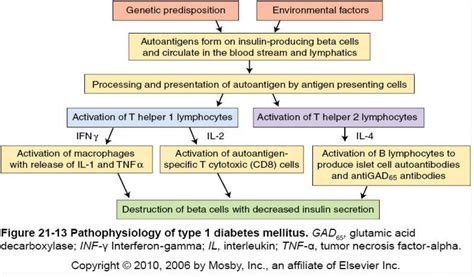 Diabetes in Women Pathophysiology and Therapy Reader