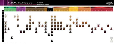 Diacolor Richesse Shade Chart