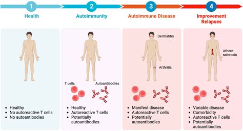 Diagnosing immune system disorders: