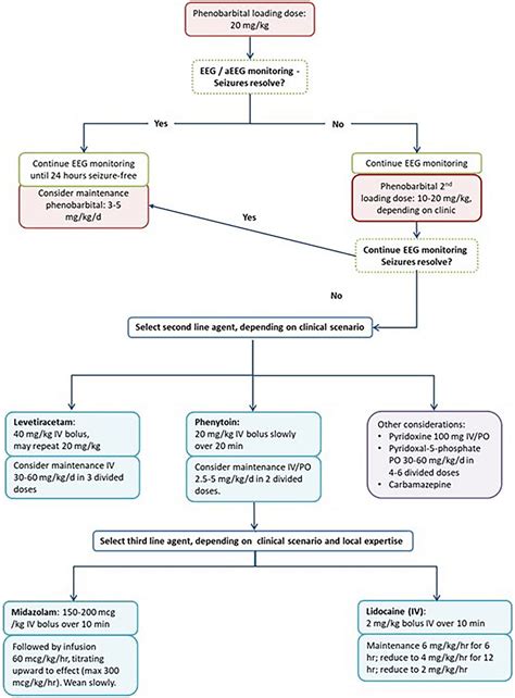 Diagnosis and Management of Neonatal Seizures Doc