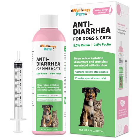 Diarrhea Medications for Dogs: A Comprehensive Guide to Treating Canine Diarrhea