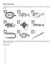 Dichotomous Key Fish Sorting Answer Epub