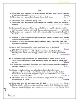 Dichotomous Key For Limpet Shells Answers Epub