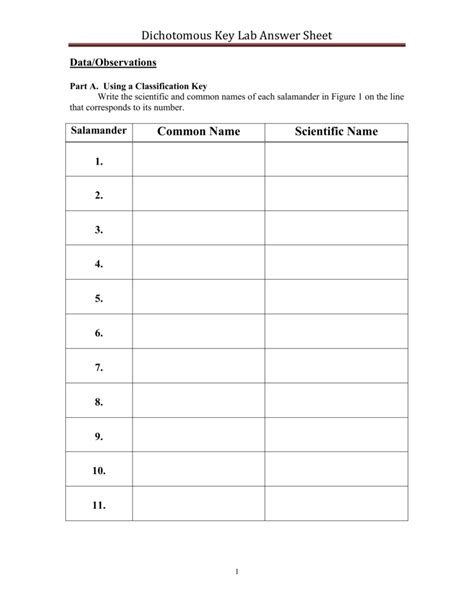 Dichotomous Key Lab Answers Doc