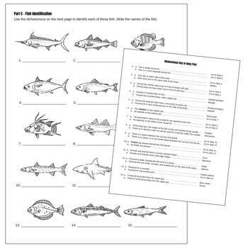 Dichotomous Key Native Fish Answers Kindle Editon