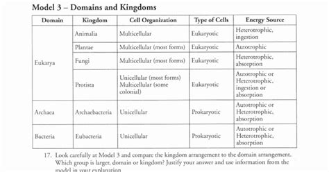 Dichotomous Key Pogil Answer Reader