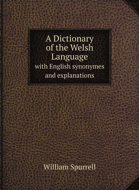 Dictionary of the Welsh Language; Explained in English Epub