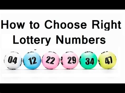 Did You Pick the Right Numbers? Unveiling the Secrets of 09 Lotto