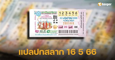 Did Your Ticket Match? Check Your หวยไทย16/5/66 Results Here!