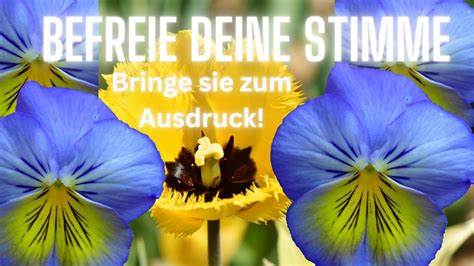 Die Arden Perücke: Ein Symbol für Selbstentfaltung und Ausdruck