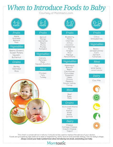 Diet for Babies Aged 12-18 Months: A Comprehensive Guide