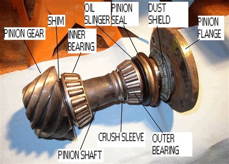 Differential Pinion Bearing: A Pivotal Player