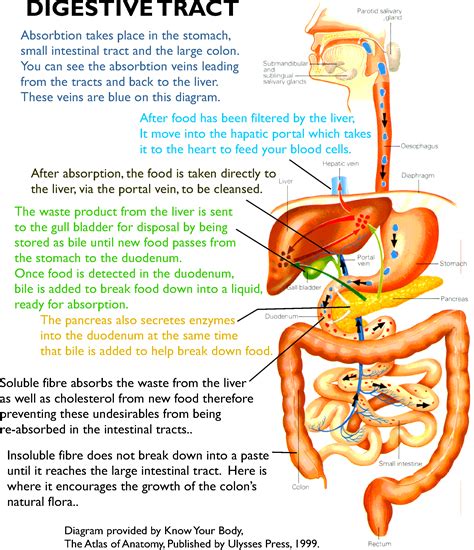 Digesting complex food molecules: