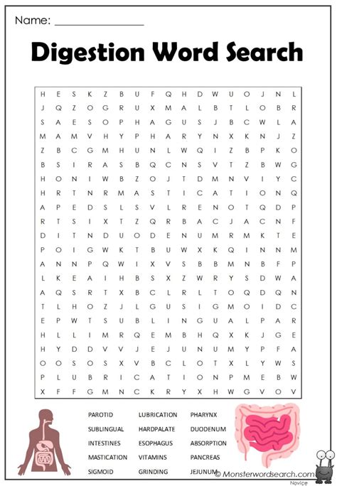 Digestion Word Search Answers Reader