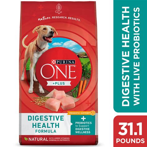 Digestive Care Dog Food: 3 Essential Strategies for a Healthy Gut