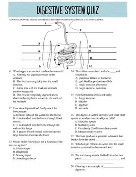 Digestive System Quiz And Answers Doc