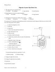 Digestive System Take Home Test Ebook PDF