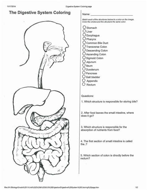 Digestive System Worksheet Answers Kindle Editon