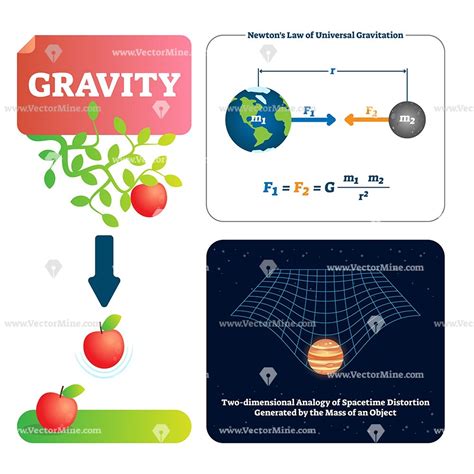 Digital Physics and Gravitation; Probabilistic Doc