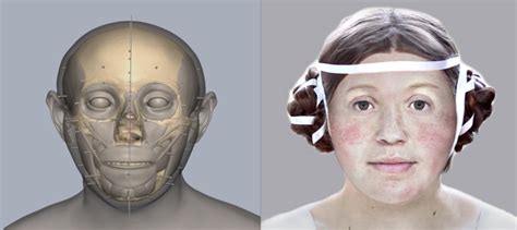 Digital Reconstruction: