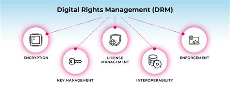 Digital Rights Management for E-Commerce Systems Kindle Editon