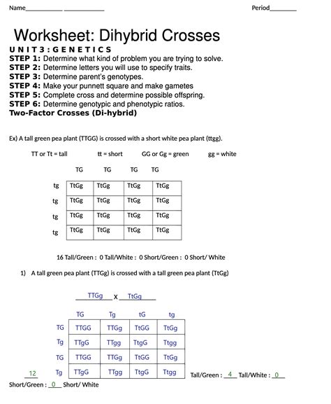 Dihybrid Crosses Worksheet Answer Key Doc