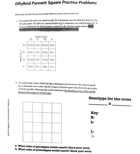 Dihybrid Punnett Square Practice With Answers Kindle Editon